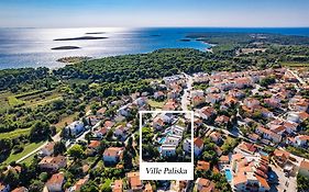 Vila Paliska